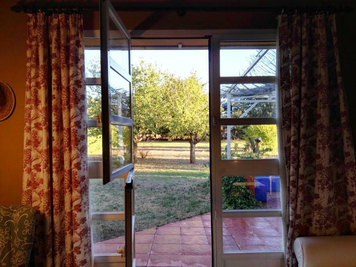 Paz Rural A Una Hora De Madrid Hontoba Eksteriør billede
